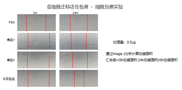 微信图片_20230410171301.png